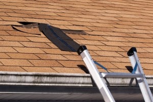 hadley roofing repair pic